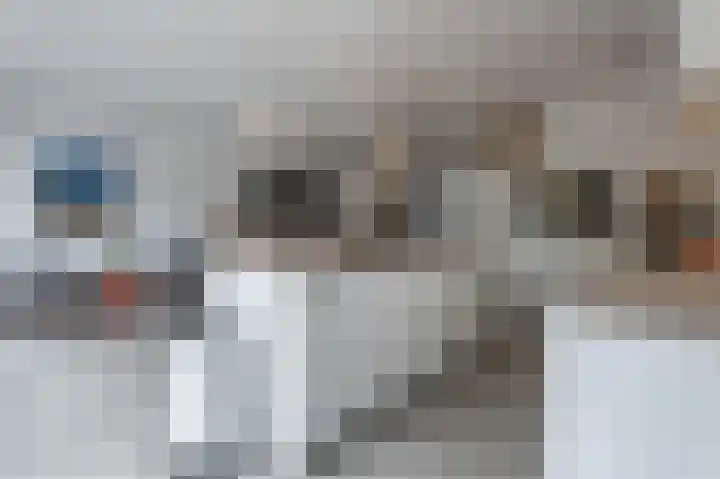 Grote Vuurvlinder 29 Tiel thumbnail 23