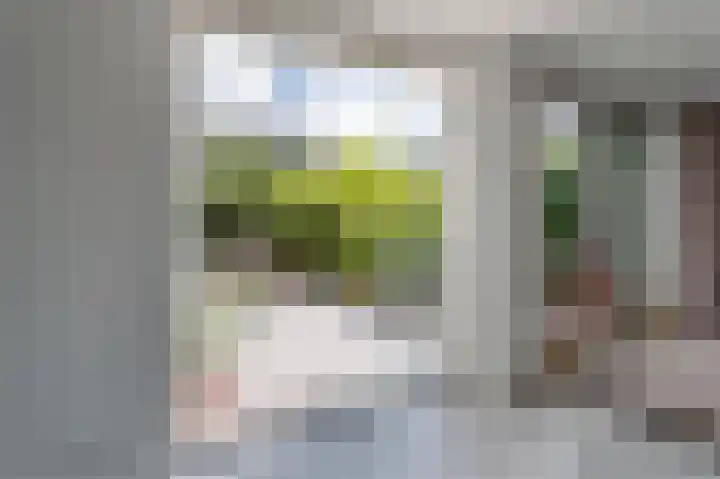 Grote Vuurvlinder 29 Tiel thumbnail 25