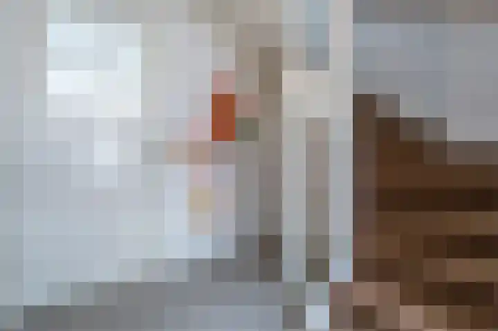 Grote Vuurvlinder 29 Tiel thumbnail 28