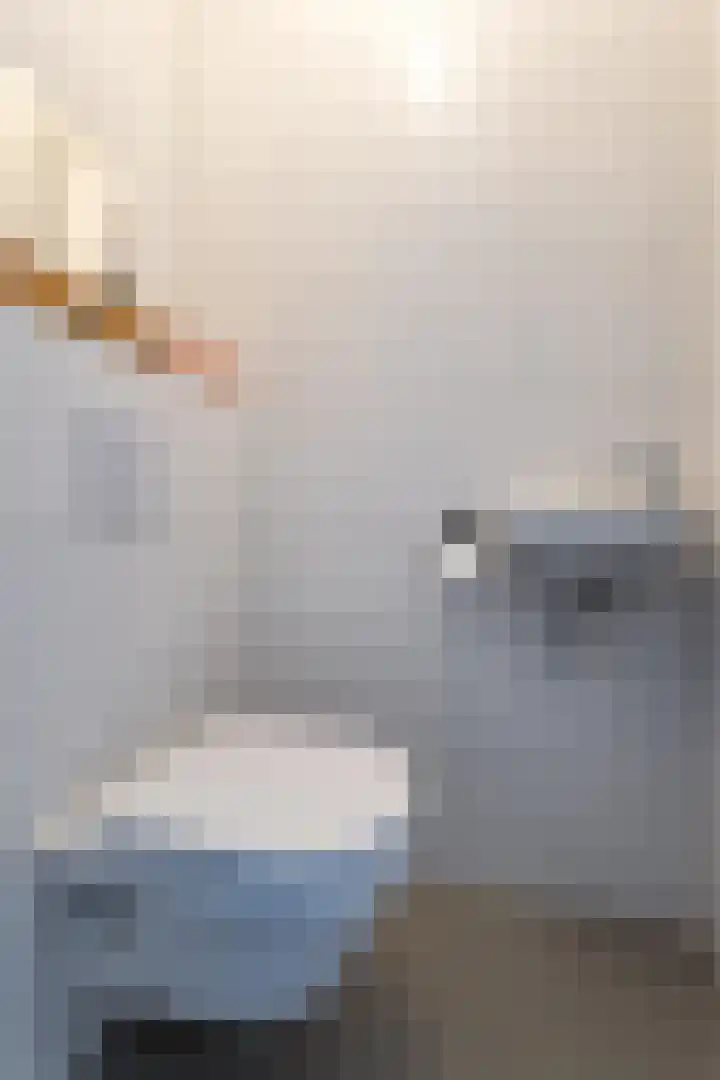 Grote Vuurvlinder 29 Tiel thumbnail 30