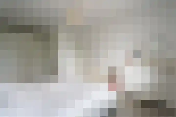 Grote Vuurvlinder 29 Tiel thumbnail 33