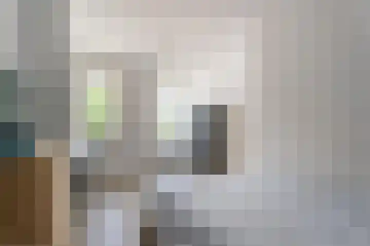 Grote Vuurvlinder 29 Tiel thumbnail 37