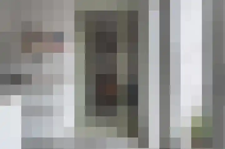 Grote Vuurvlinder 29 Tiel thumbnail 4