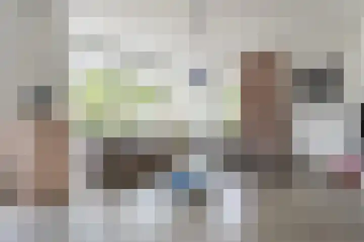Grote Vuurvlinder 29 Tiel thumbnail 5