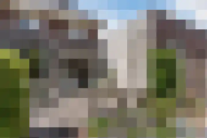 Grote Vuurvlinder 29 Tiel thumbnail 55