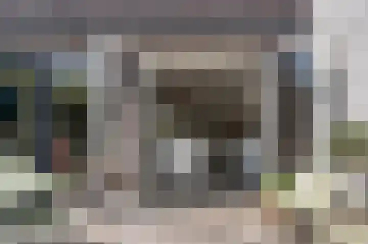 Grote Vuurvlinder 29 Tiel thumbnail 56