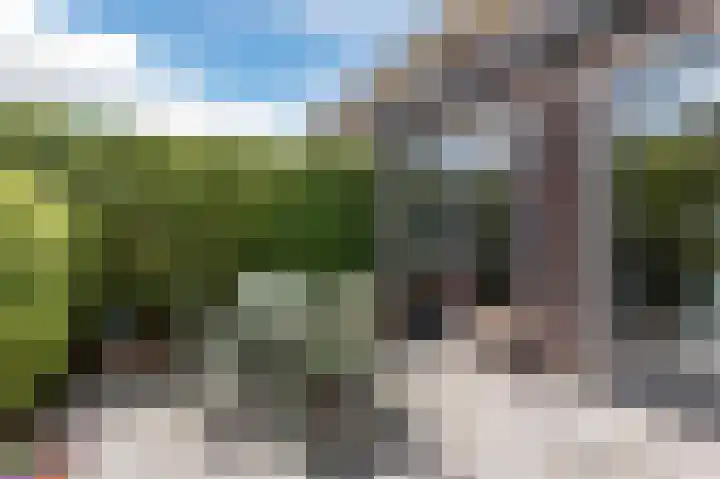 Grote Vuurvlinder 29 Tiel thumbnail 58