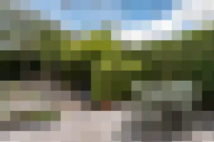 Grote Vuurvlinder 29 Tiel thumbnail 59