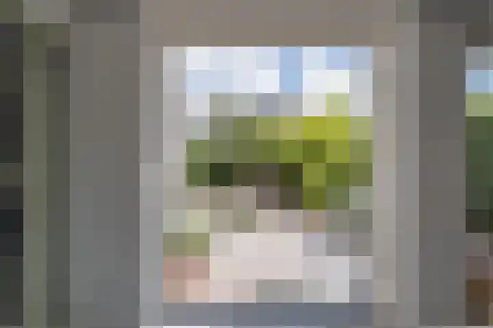 Grote Vuurvlinder 29 Tiel thumbnail 6