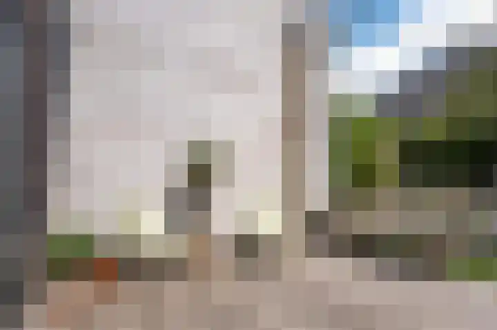 Grote Vuurvlinder 29 Tiel thumbnail 60