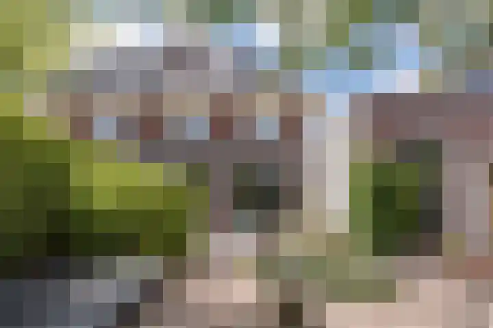 Grote Vuurvlinder 29 Tiel thumbnail 61