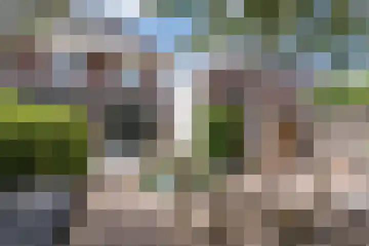 Grote Vuurvlinder 29 Tiel thumbnail 62