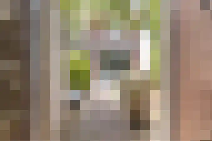 Grote Vuurvlinder 29 Tiel thumbnail 64
