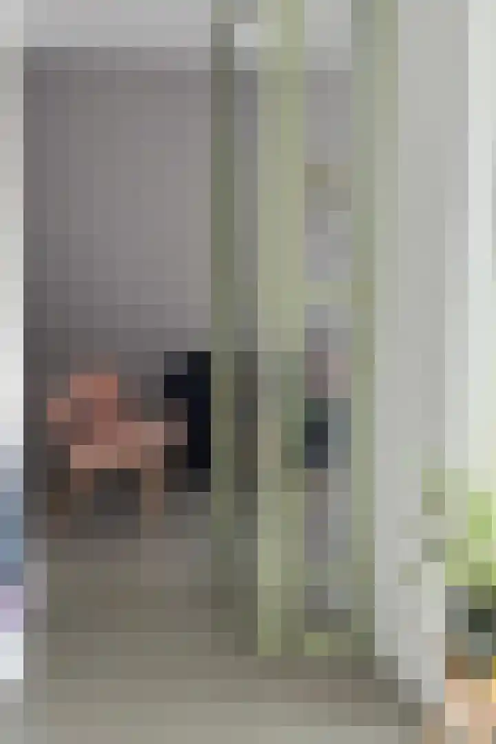 Grote Vuurvlinder 29 Tiel thumbnail 66