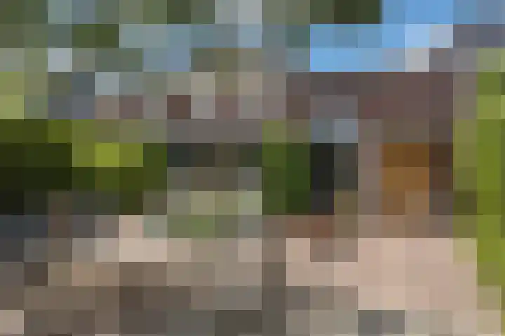 Grote Vuurvlinder 29 Tiel thumbnail 7