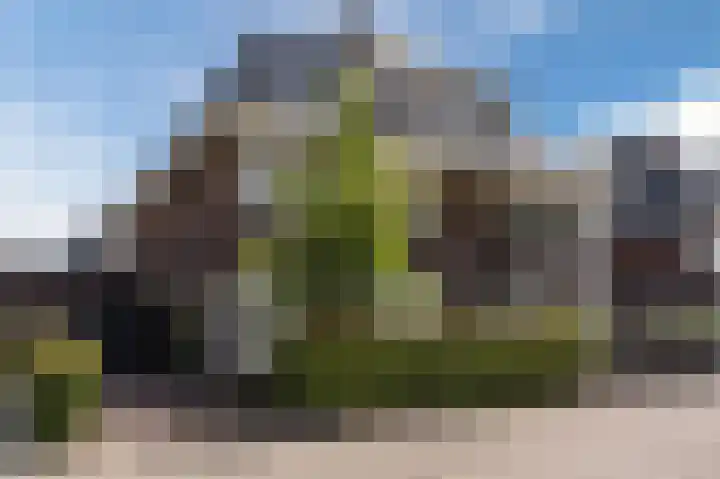 Grote Vuurvlinder 29 Tiel thumbnail 8