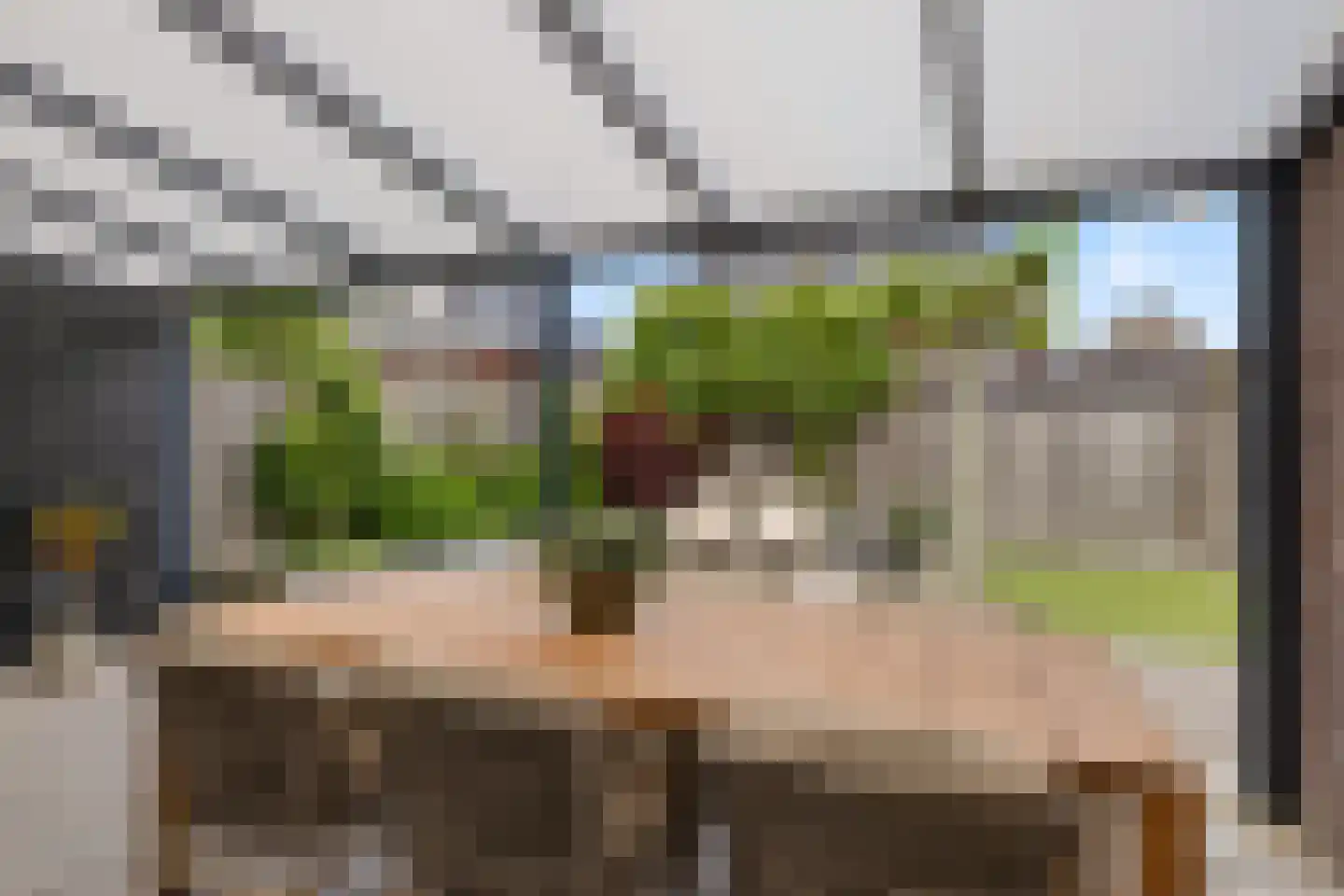 Grote Vuurvlinder 3 Tiel thumbnail 10