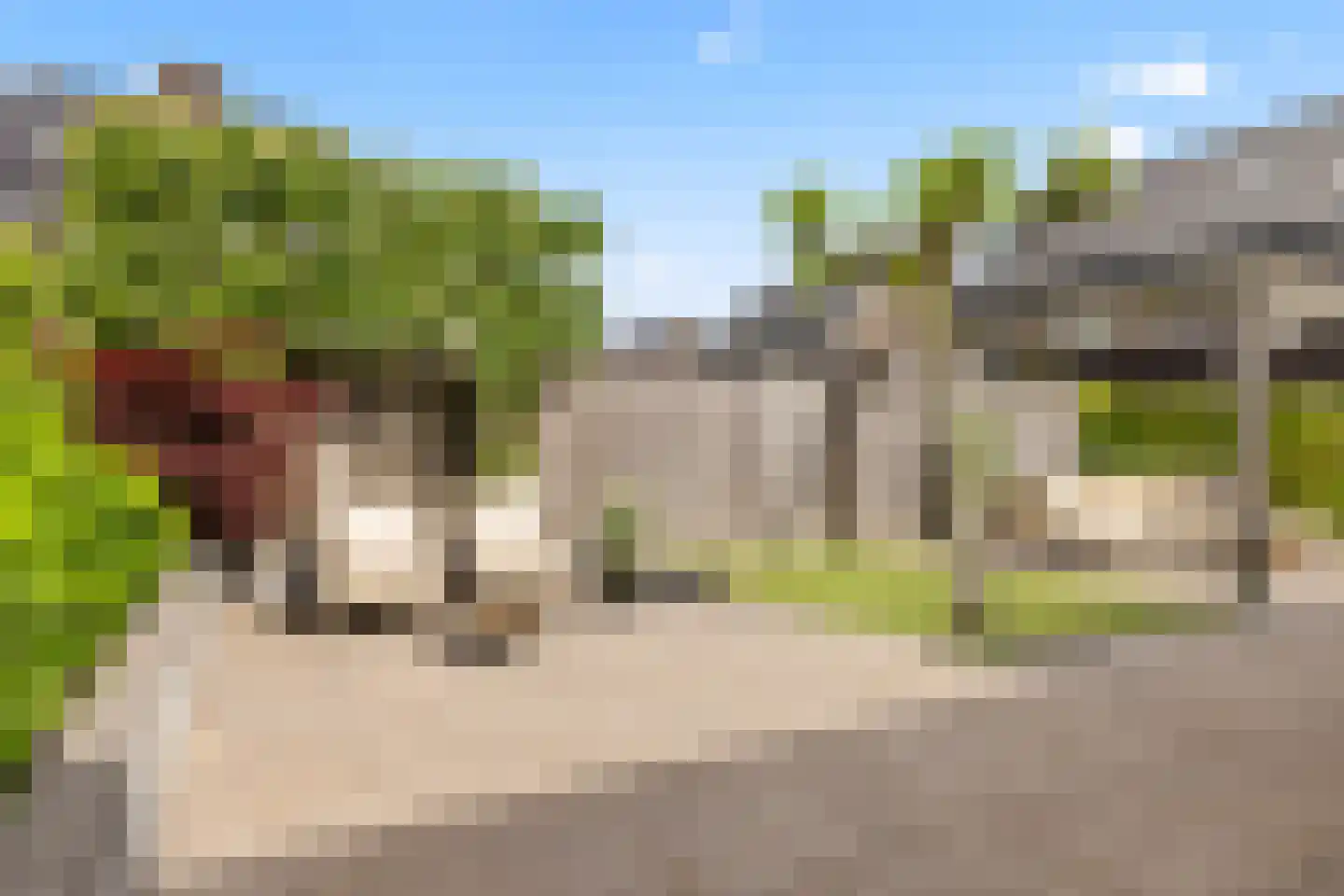 Grote Vuurvlinder 3 Tiel thumbnail 11