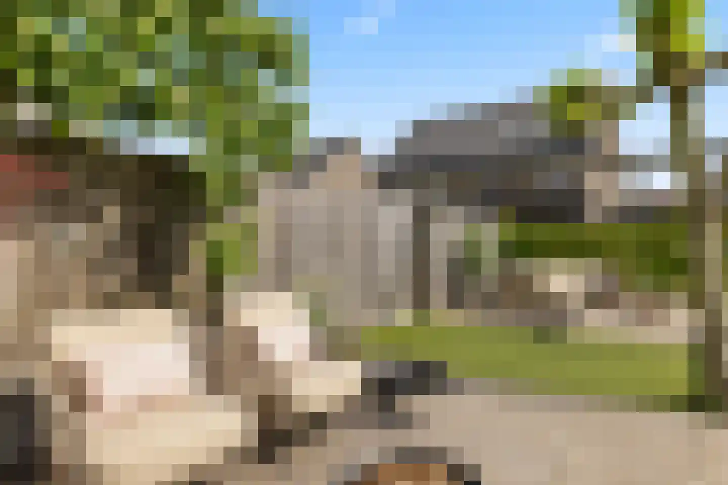 Grote Vuurvlinder 3 Tiel thumbnail 12