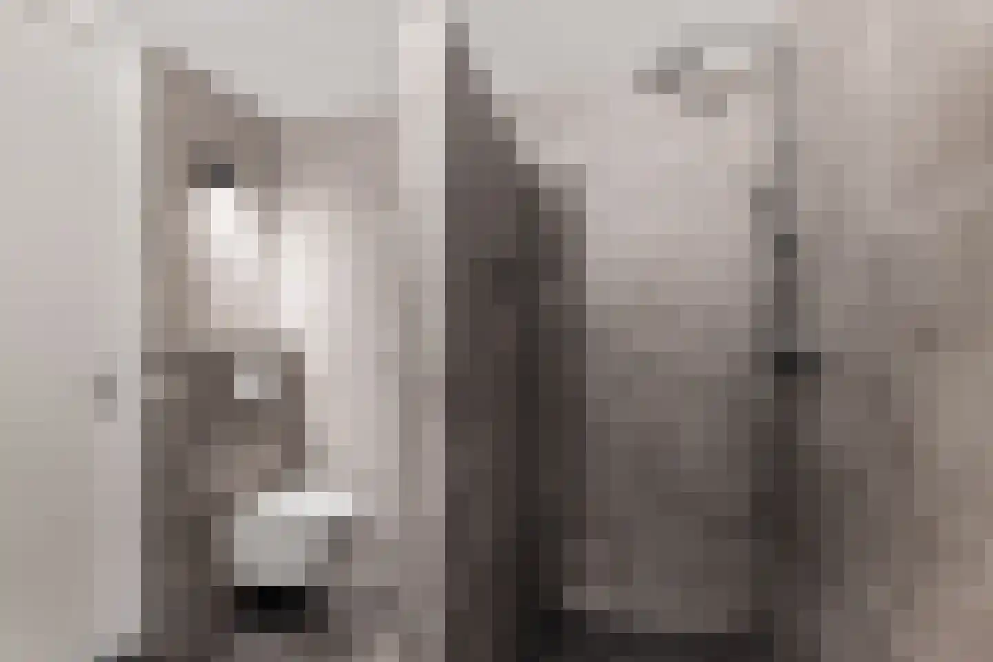 Grote Vuurvlinder 3 Tiel thumbnail 12