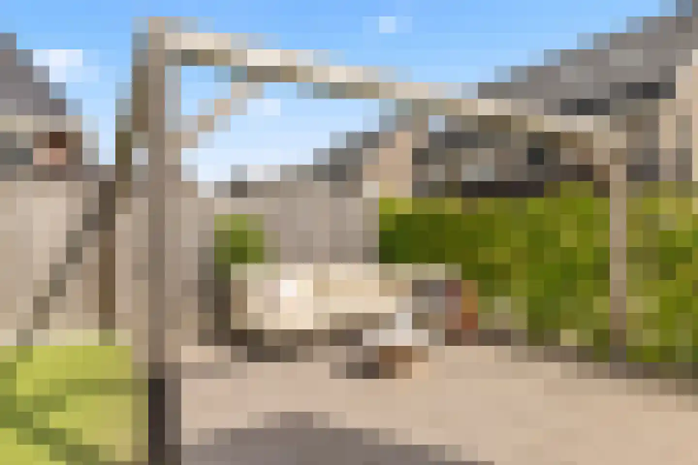 Grote Vuurvlinder 3 Tiel thumbnail 13