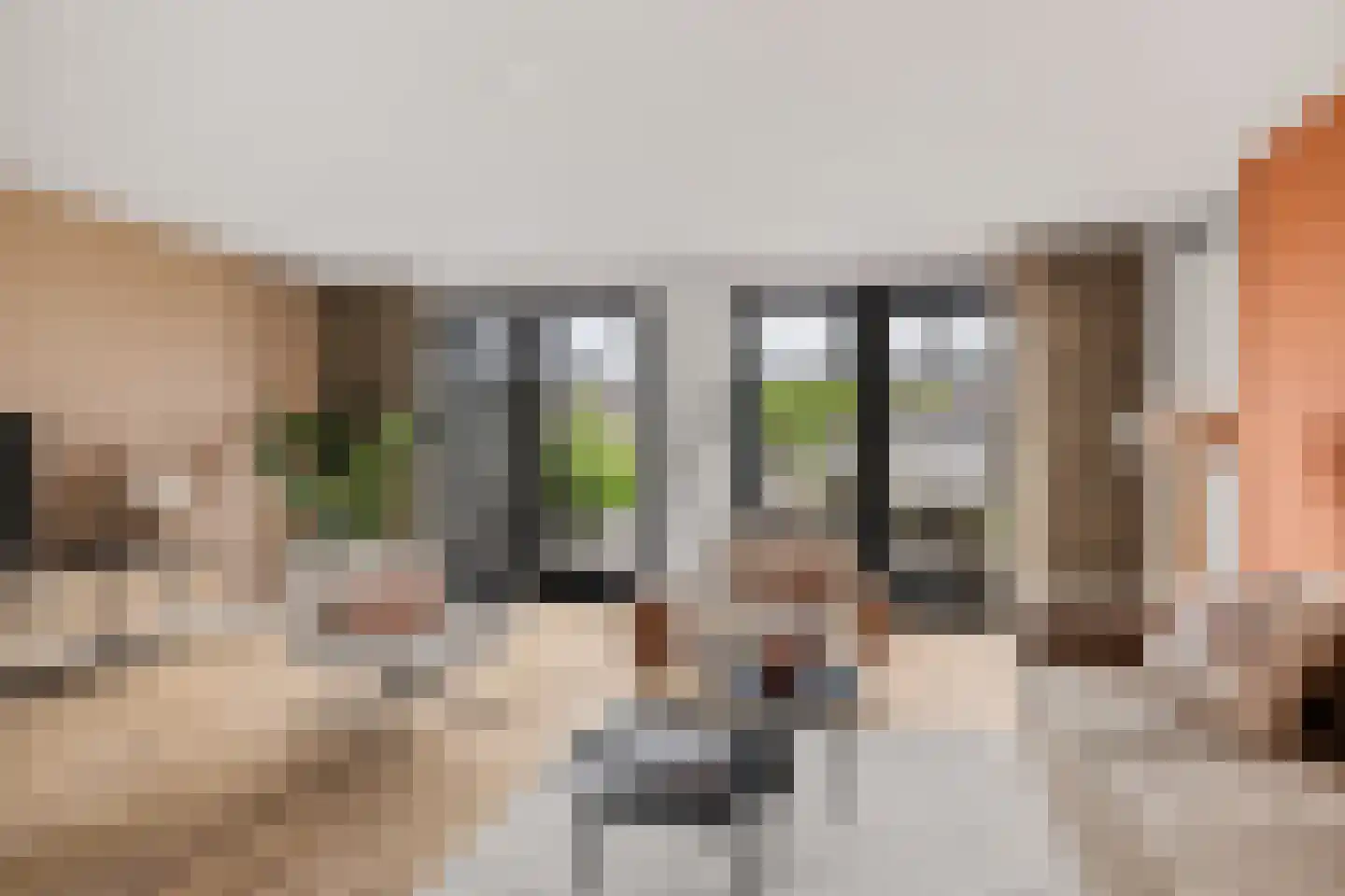 Grote Vuurvlinder 3 Tiel thumbnail 16