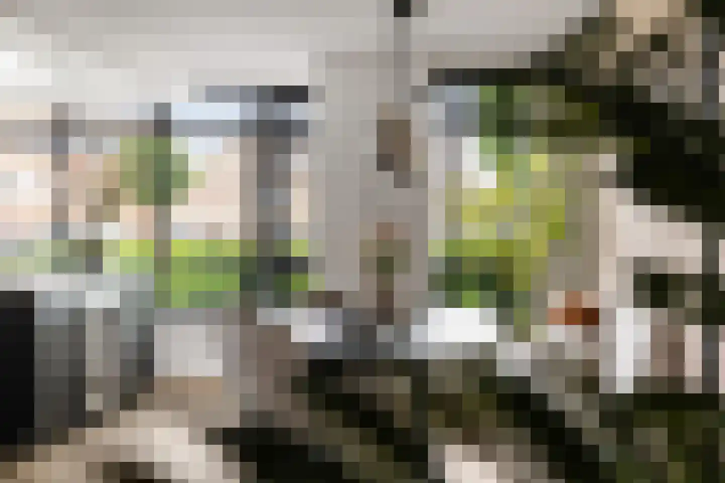 Grote Vuurvlinder 3 Tiel thumbnail 18