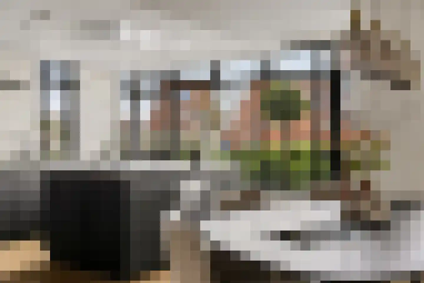 Grote Vuurvlinder 3 Tiel thumbnail 19