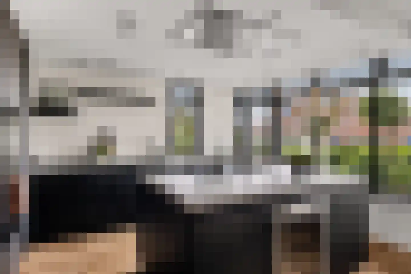 Grote Vuurvlinder 3 Tiel thumbnail 20