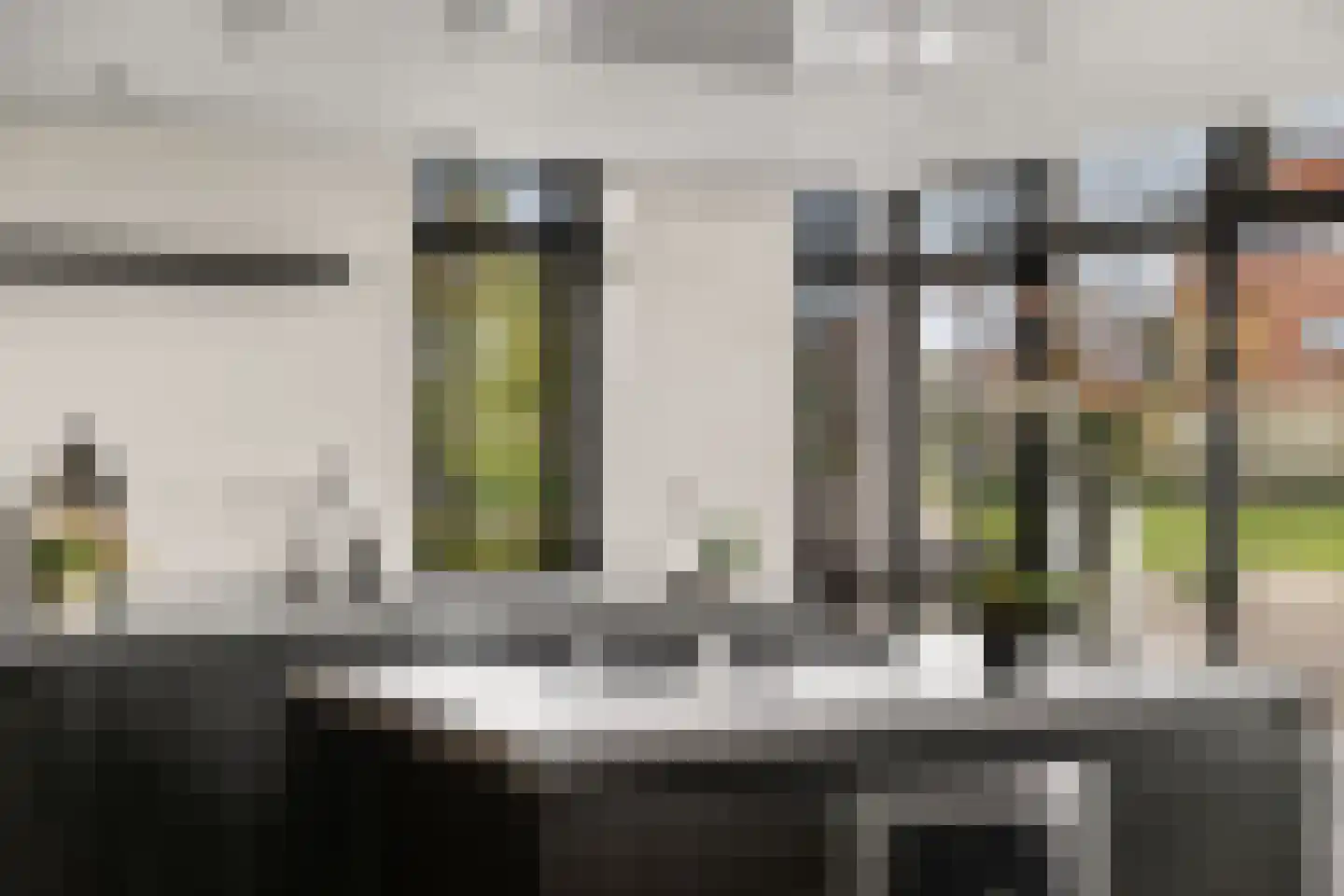 Grote Vuurvlinder 3 Tiel thumbnail 21