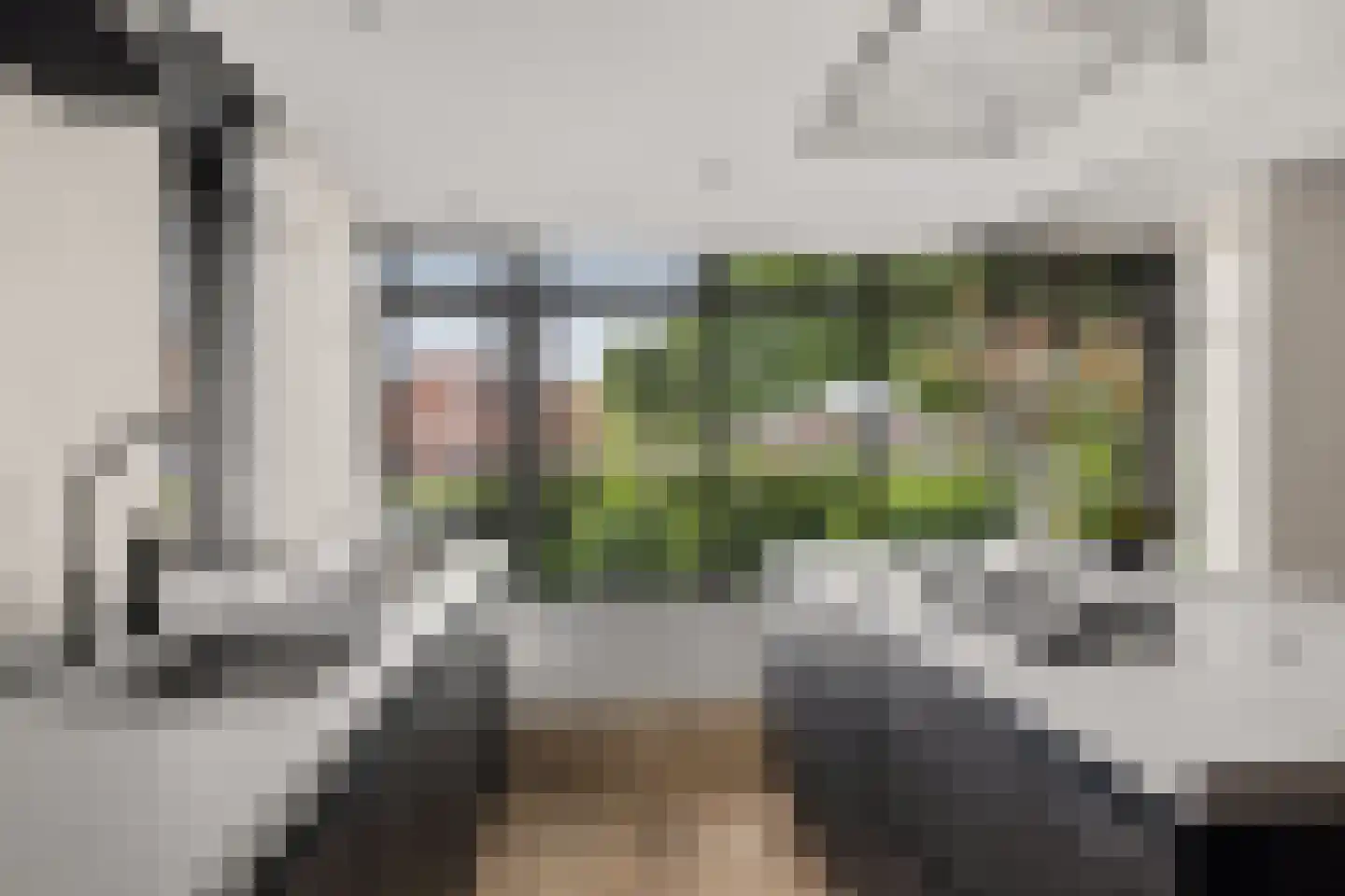 Grote Vuurvlinder 3 Tiel thumbnail 23
