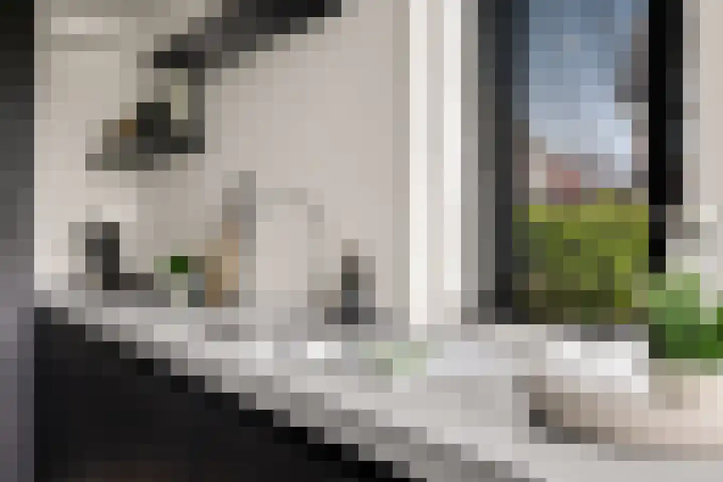 Grote Vuurvlinder 3 Tiel thumbnail 24