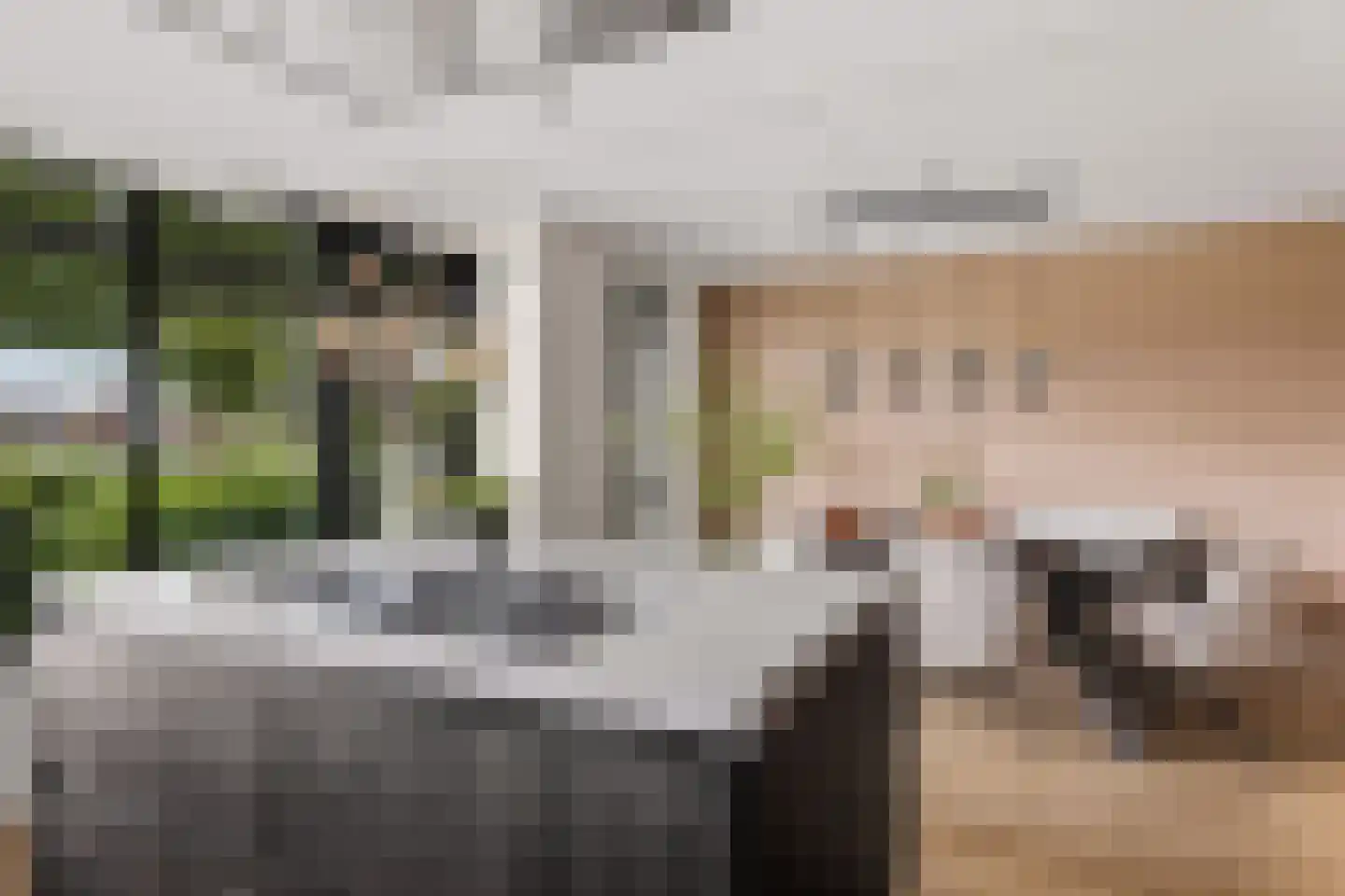 Grote Vuurvlinder 3 Tiel thumbnail 25