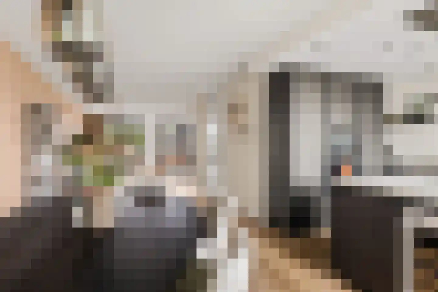 Grote Vuurvlinder 3 Tiel thumbnail 26