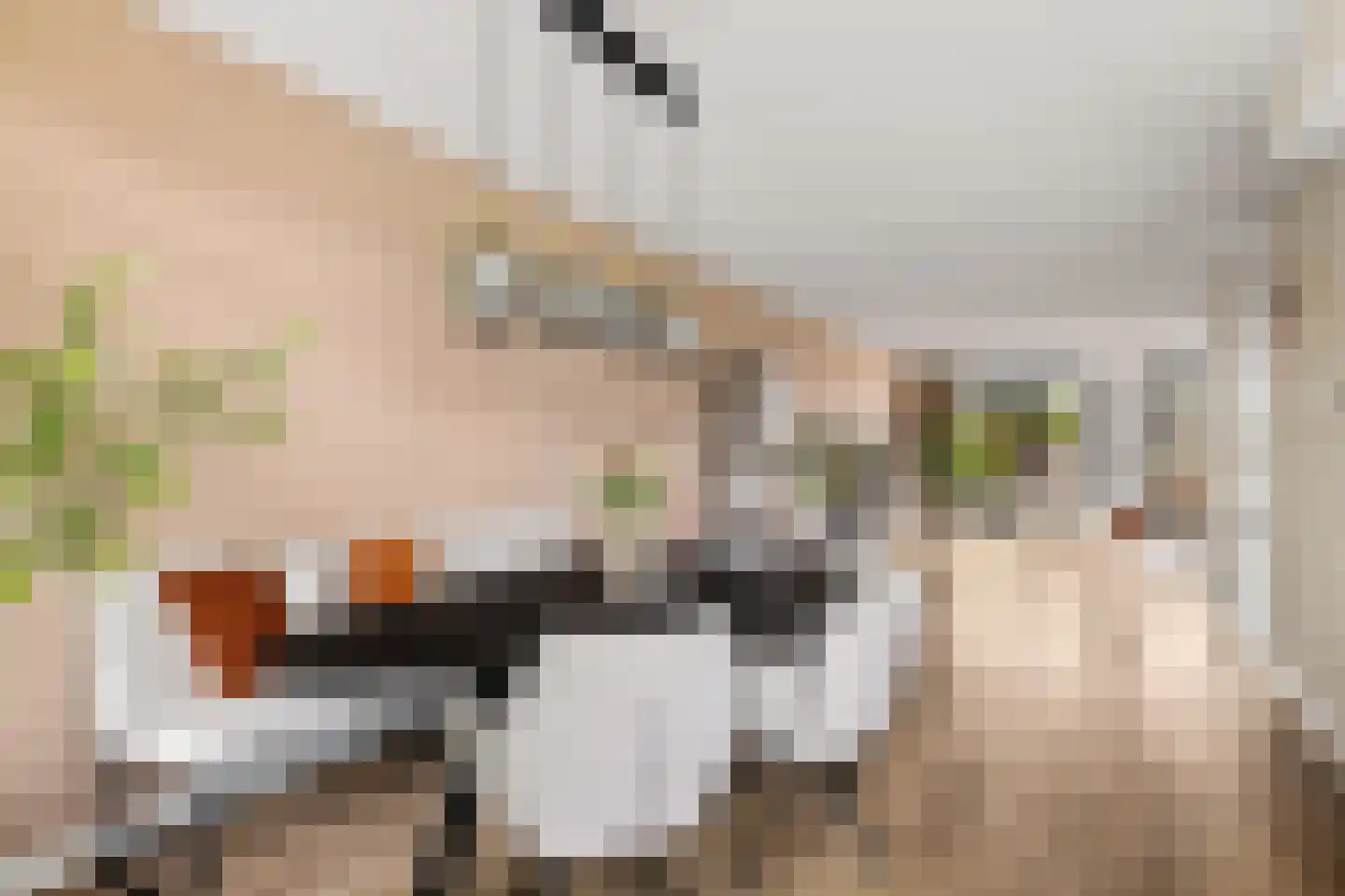 Grote Vuurvlinder 3 Tiel thumbnail 27