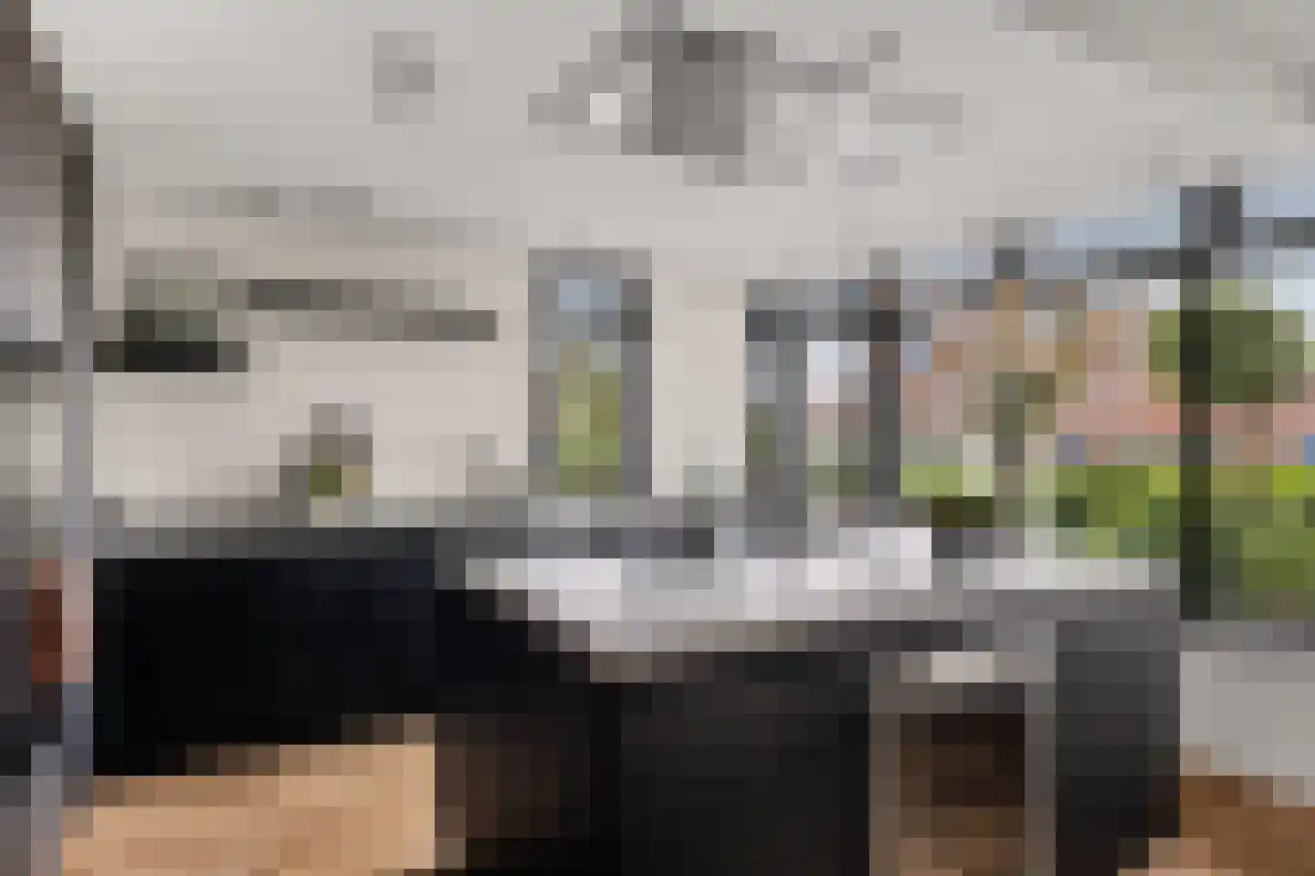 Grote Vuurvlinder 3 Tiel thumbnail 28