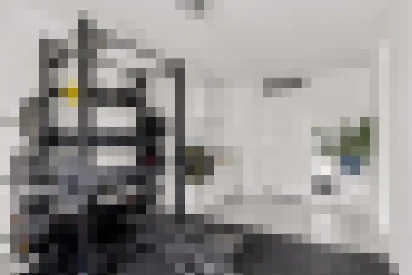 Grote Vuurvlinder 3 Tiel thumbnail 30