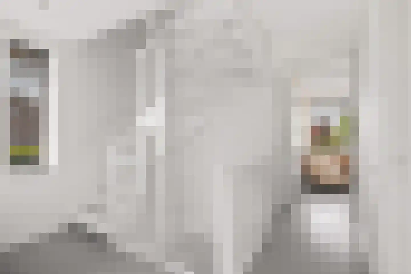 Grote Vuurvlinder 3 Tiel thumbnail 31