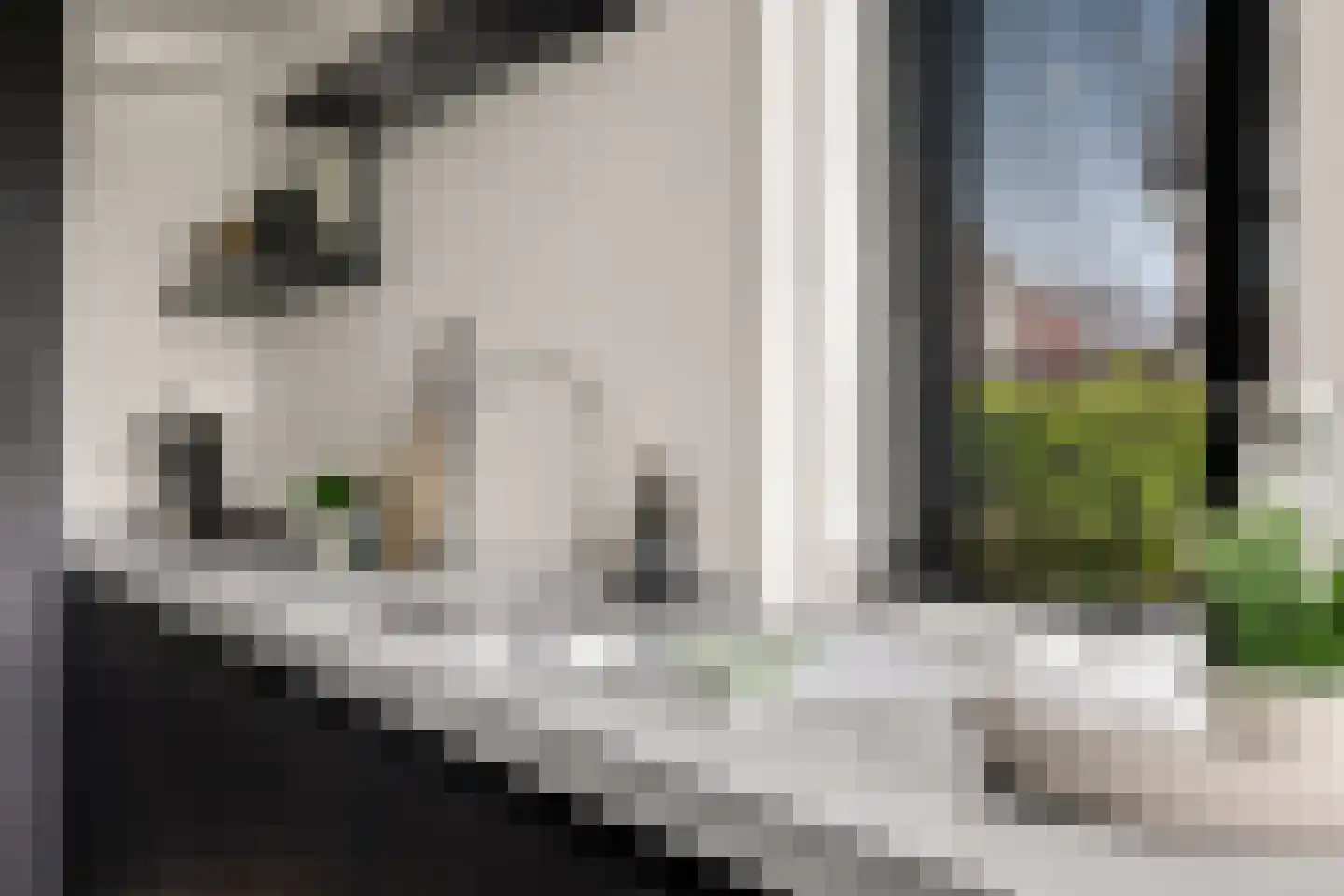 Grote Vuurvlinder 3 Tiel thumbnail 32