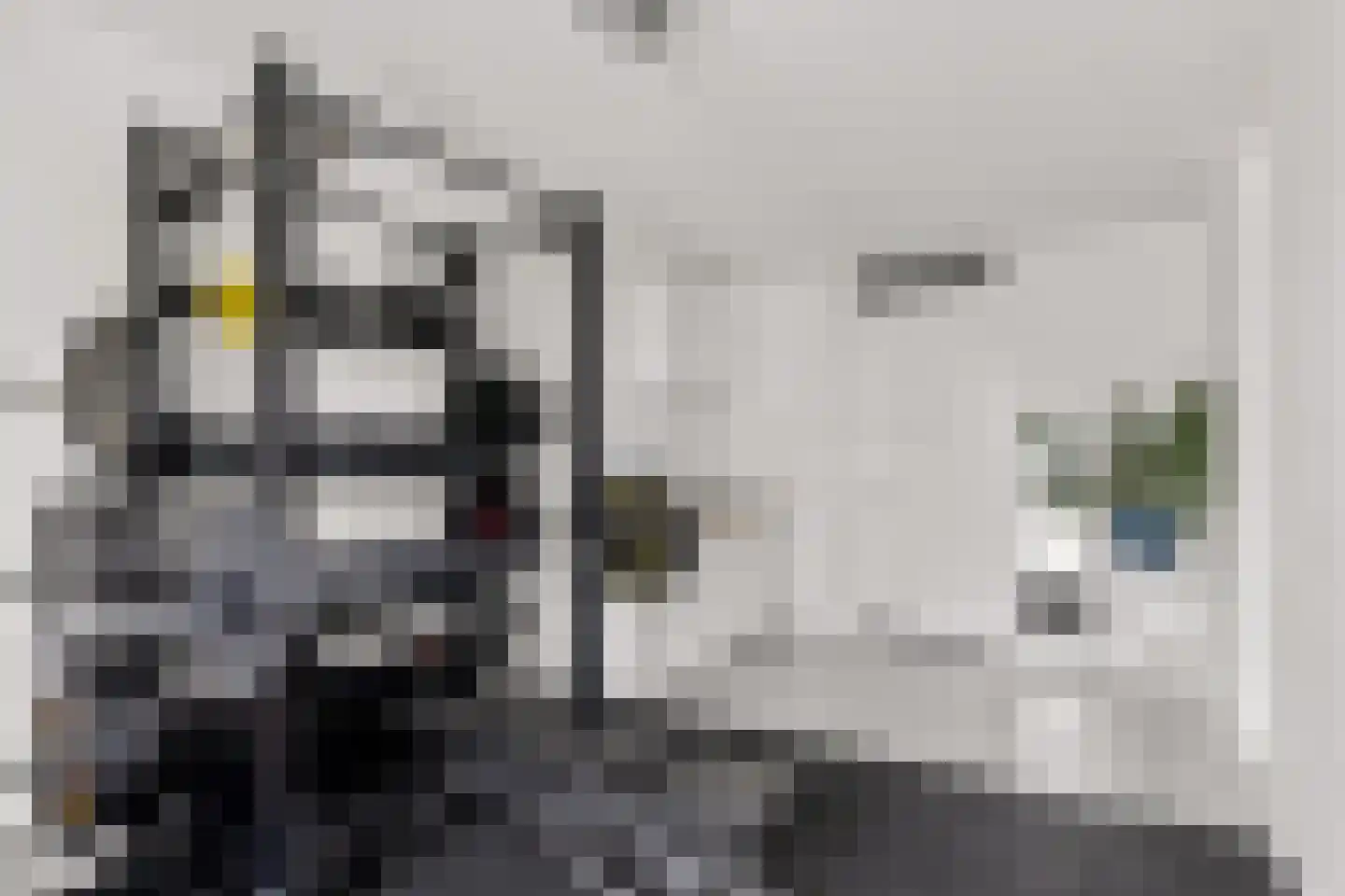 Grote Vuurvlinder 3 Tiel thumbnail 37