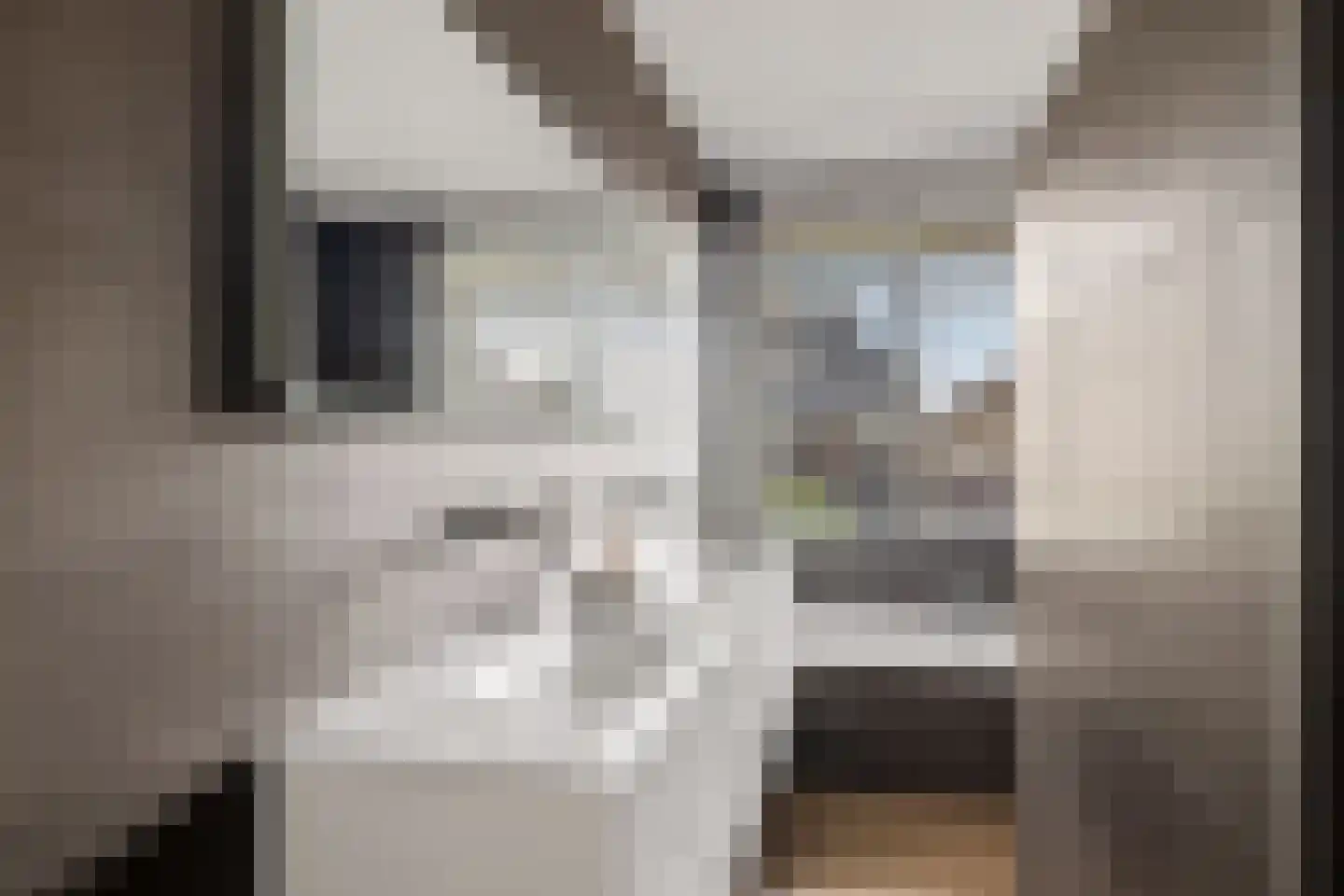 Grote Vuurvlinder 3 Tiel thumbnail 39