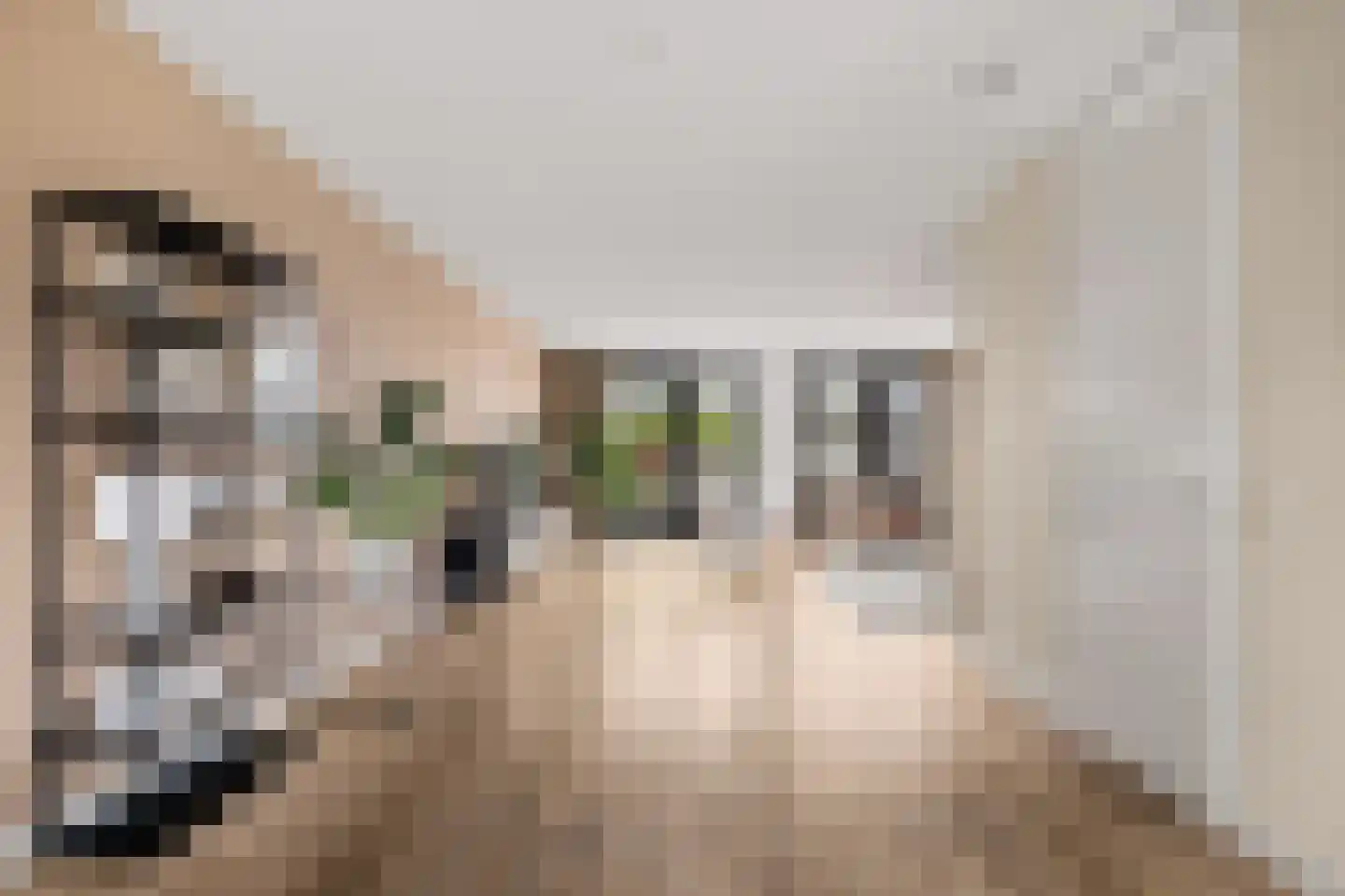 Grote Vuurvlinder 3 Tiel thumbnail 4