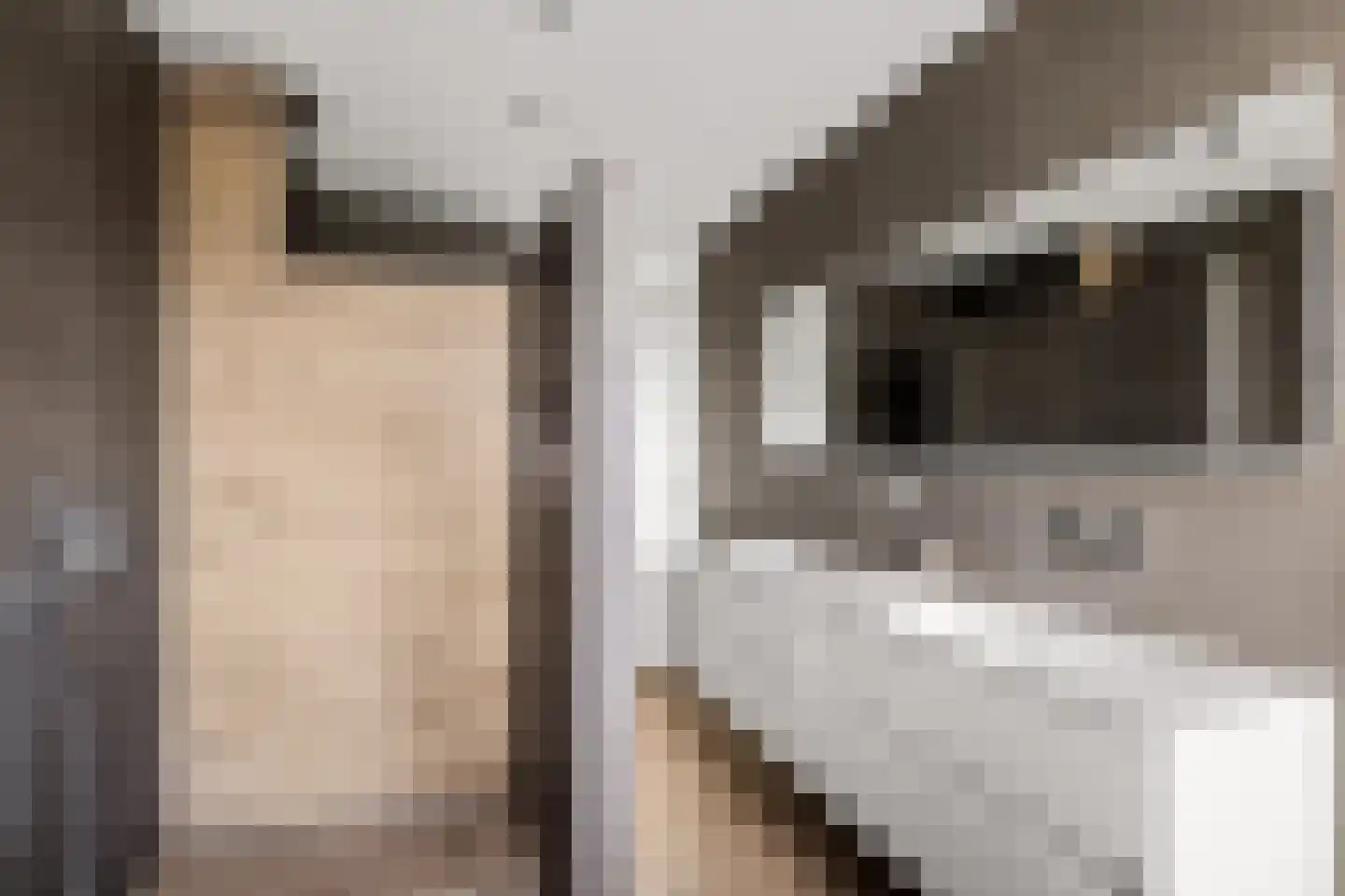 Grote Vuurvlinder 3 Tiel thumbnail 40
