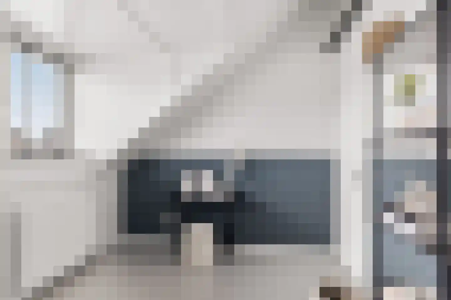 Grote Vuurvlinder 3 Tiel thumbnail 45