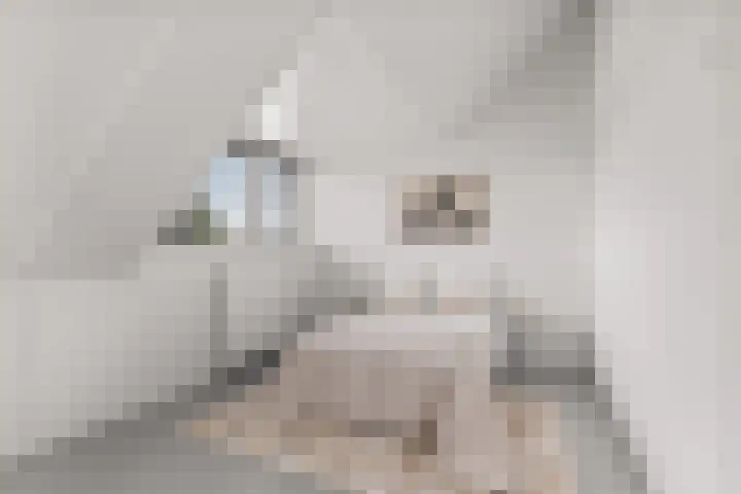 Grote Vuurvlinder 3 Tiel thumbnail 46