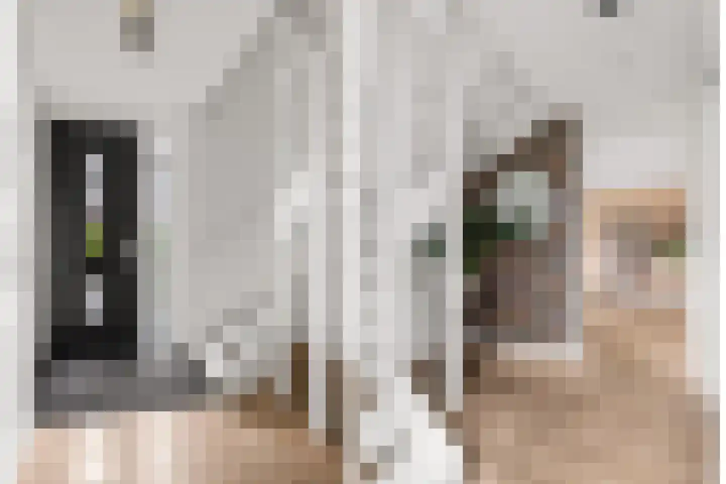 Grote Vuurvlinder 3 Tiel thumbnail 51