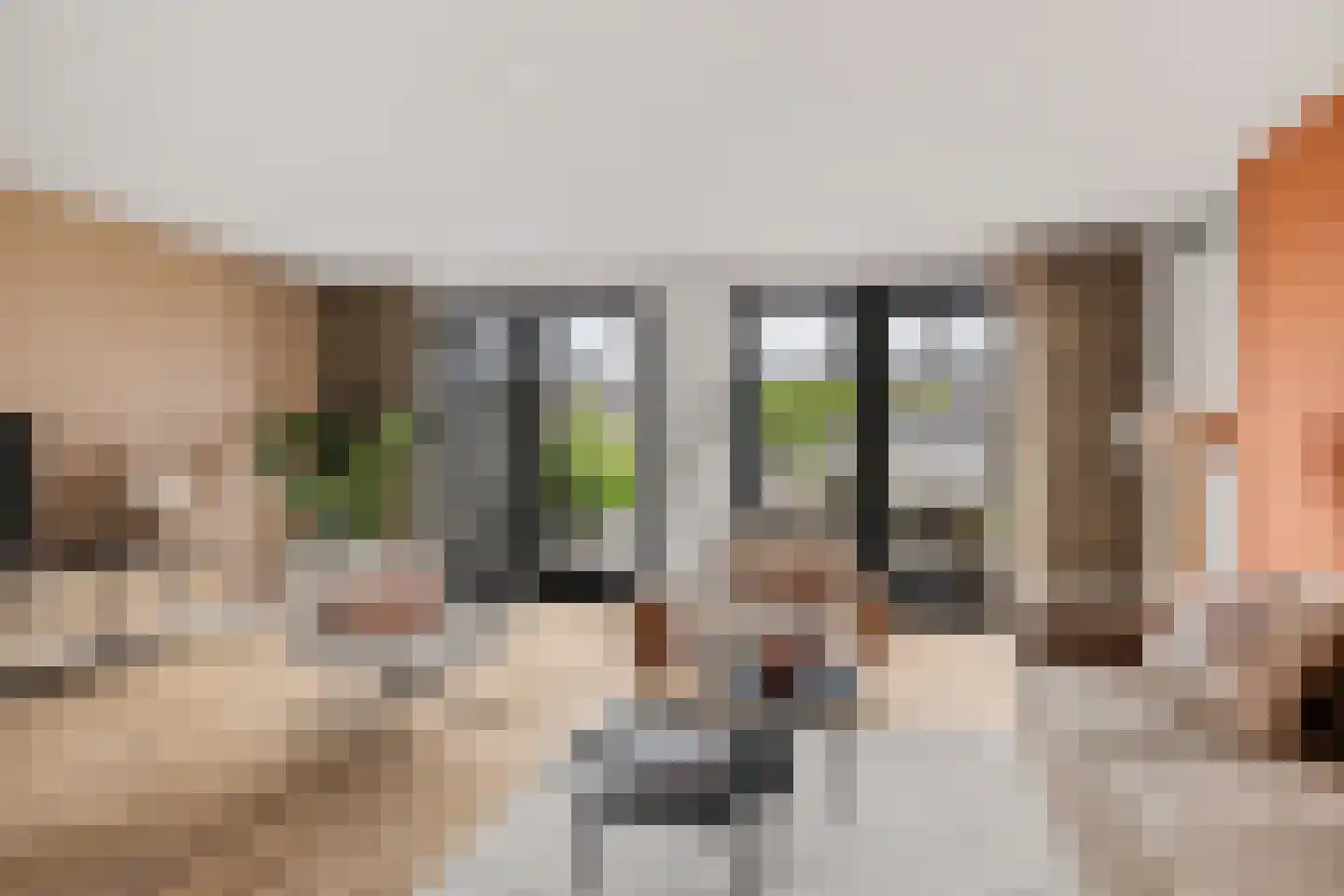Grote Vuurvlinder 3 Tiel thumbnail 7