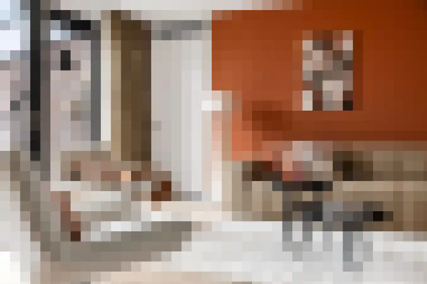Grote Vuurvlinder 3 Tiel thumbnail 8
