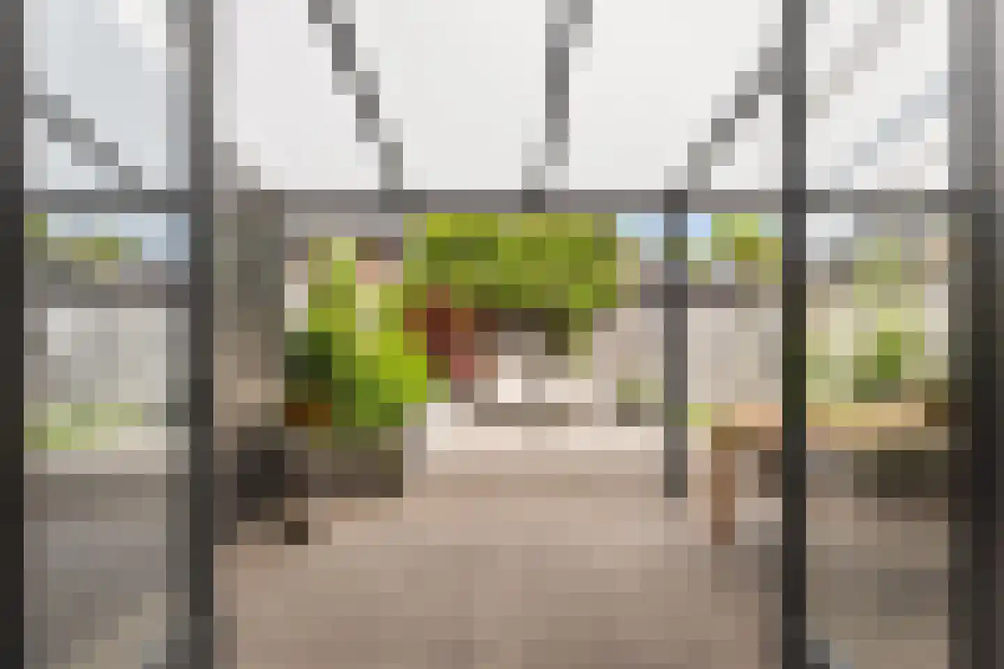 Grote Vuurvlinder 3 Tiel thumbnail 9