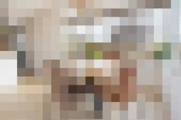 Grote vuurvlinder 31 Wolvega thumbnail 10